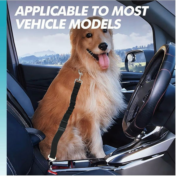 Dog Safety Harness