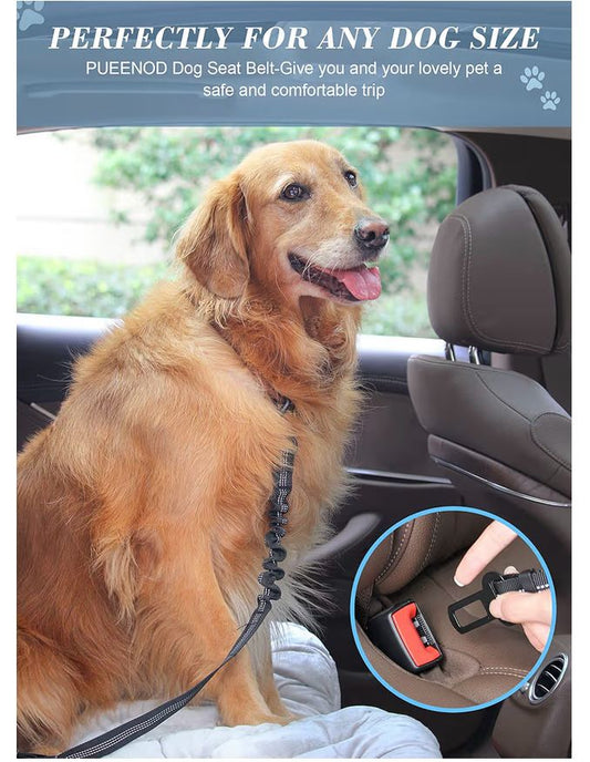 Dog Safety Harness
